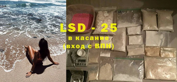 ПСИЛОЦИБИНОВЫЕ ГРИБЫ Алзамай