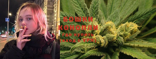 ПСИЛОЦИБИНОВЫЕ ГРИБЫ Алзамай