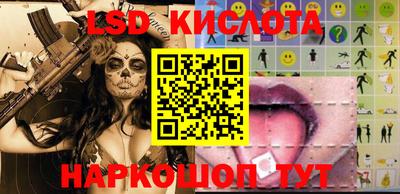 PSILOCYBIN Камышлов