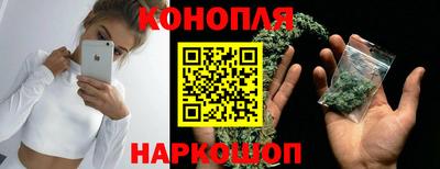 стаф Канаш