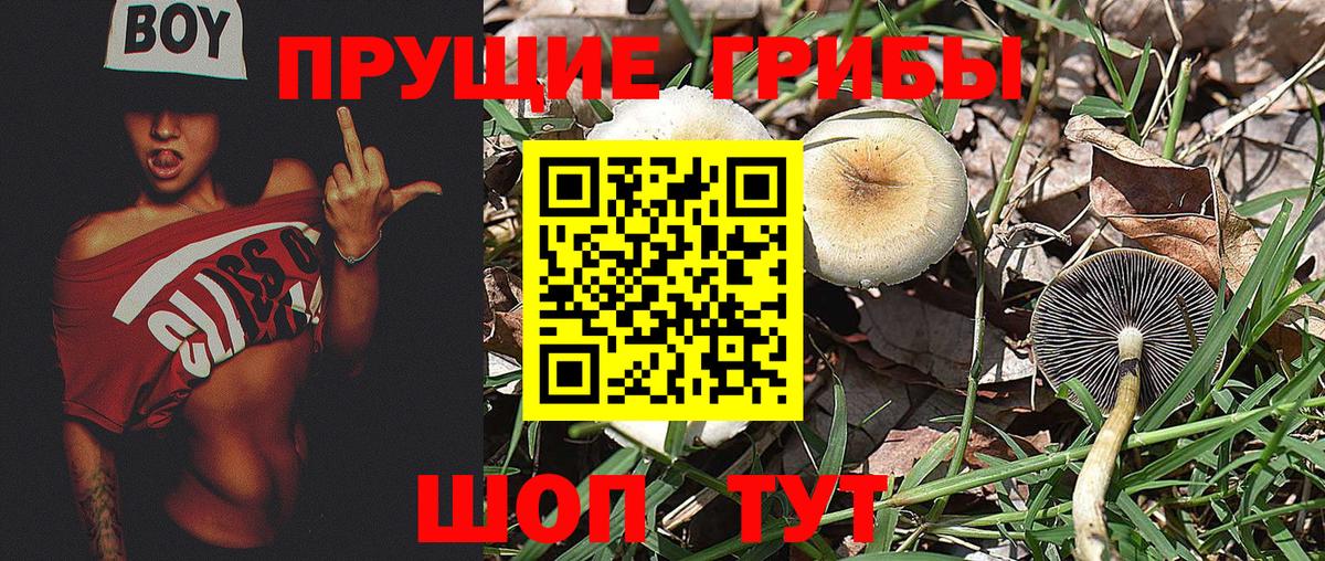 Галлюциногенные грибы MAGIC MUSHROOMS Мыски
